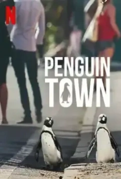Город пингвинов / Penguin Town 2021 скачать через торрент в хорошем качестве