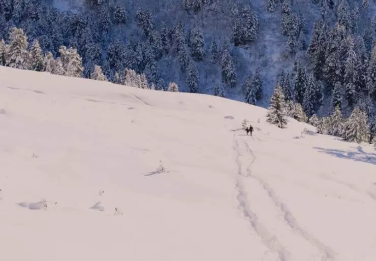 Пылкий призрак 2019 скачать торрентом Пылкий призрак 2019 скачать торрентом