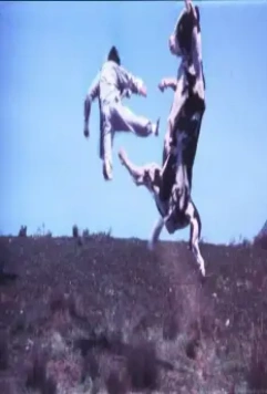 Кунг По: Нарвись на кулак 2002 скачать через торрент бесплатно Кунг По: Нарвись на кулак 2002 скачать через торрент бесплатно