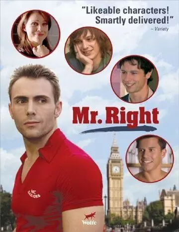Мистер идеал / Mr. Right 2009 скачать через торрент в хорошем качестве