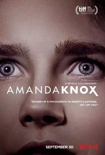 Аманда Нокс / Amanda Knox 2016 скачать через торрент в хорошем качестве
