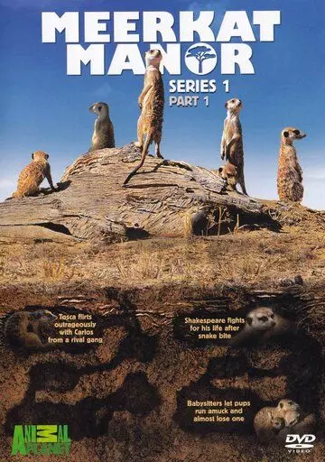 Поместье сурикат / Meerkat Manor 2005 скачать через торрент в хорошем качестве