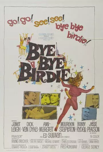 Пока, пташка / Bye Bye Birdie 1963 скачать через торрент в хорошем качестве