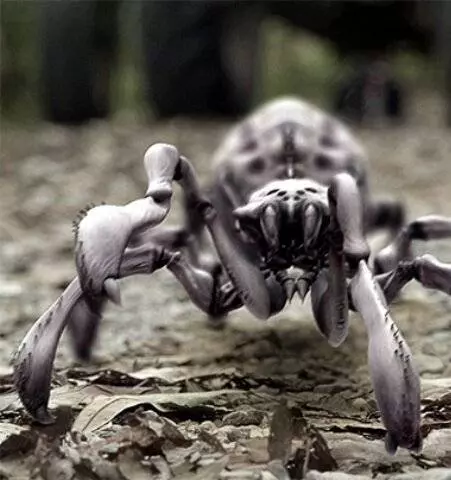 Паучий удар 2012 скачать с торрента Паучий удар 2012 скачать с торрента