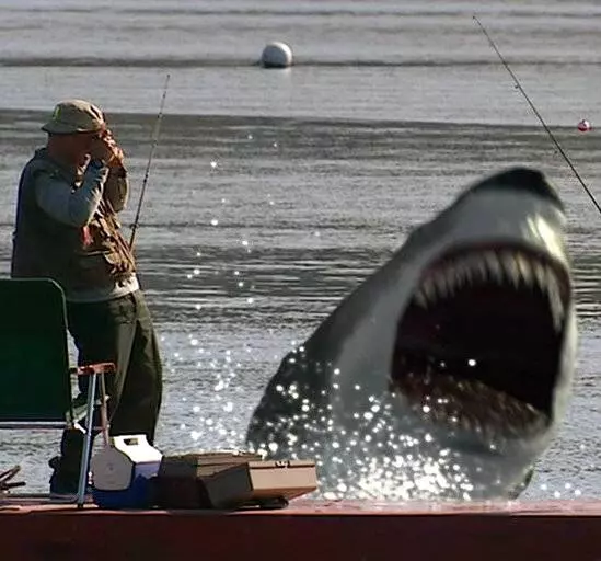 Инстинкт хищника 2004 скачать через торрент бесплатно Инстинкт хищника 2004 скачать через торрент бесплатно