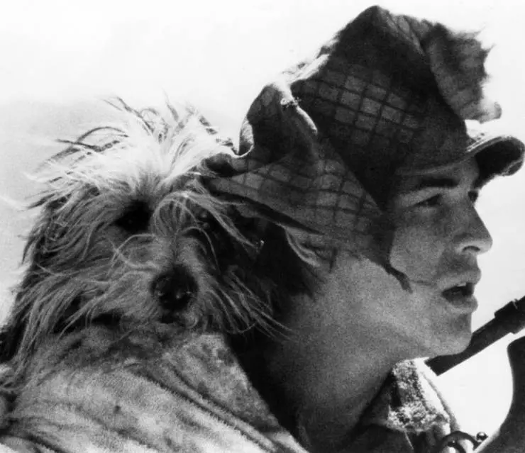 Парень и его пес 1974 скачать через торрент бесплатно Парень и его пес 1974 скачать через торрент бесплатно