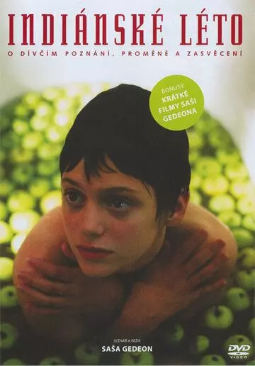 Индейское лето / Indiánské léto 1995 скачать через торрент в хорошем качестве
