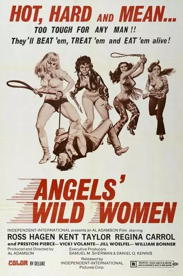 Ангельские личики / Angels' Wild Women 1972 скачать через торрент в хорошем качестве