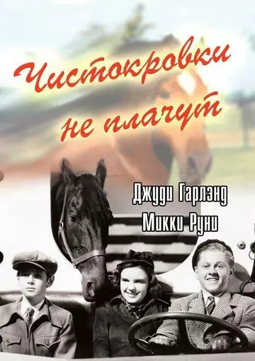 Чистокровки не плачут / Thoroughbreds Don't Cry 1937 скачать через торрент в хорошем качестве