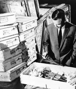 Тайна золотистых нарциссов 1961 скачать через торрент бесплатно Тайна золотистых нарциссов 1961 скачать через торрент бесплатно