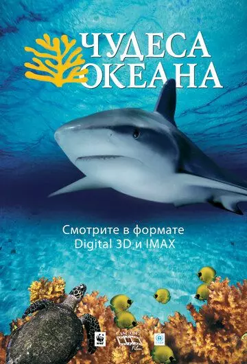 Чудеса океана 3D / Ocean Wonderland 2003 скачать через торрент в хорошем качестве