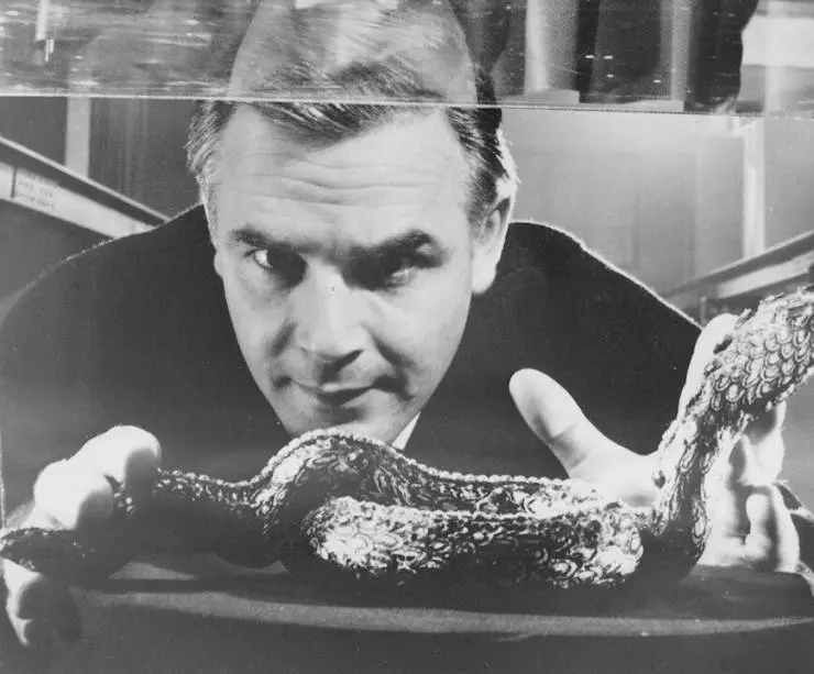 Проклятье Желтой змеи 1963 скачать торрентом Проклятье Желтой змеи 1963 скачать торрентом