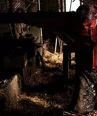 Мучение 2004 скачать через торрент бесплатно Мучение 2004 скачать через торрент бесплатно