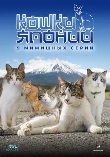 Кошки Японии / Cats of Japan 2017 скачать через торрент в хорошем качестве