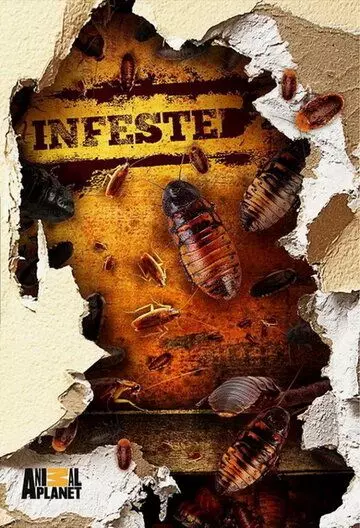 Вторжение паразитов / Infested! 2011 скачать через торрент в хорошем качестве