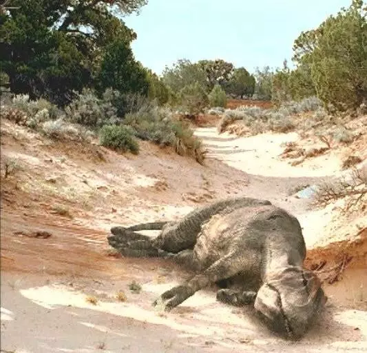 Прогулки с динозаврами: Баллада о большом Але 2000 скачать через торрент бесплатно Прогулки с динозаврами: Баллада о большом Але 2000 скачать через торрент бесплатно