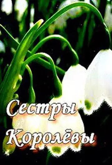 Сестры Королевы 2010 скачать через торрент в хорошем качестве