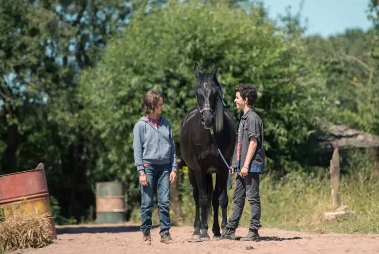 Восточный ветер. Великий ураган 2021 скачать с торрента Восточный ветер. Великий ураган 2021 скачать с торрента