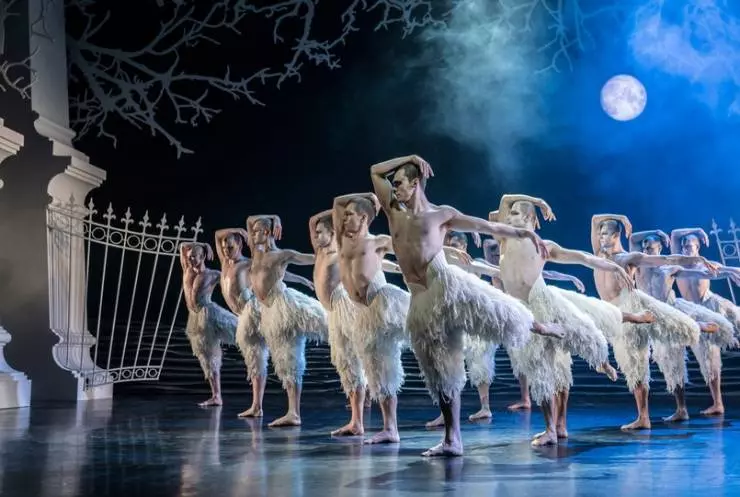 Мэтью Борн: Лебединое озеро 2019 скачать с торрента Мэтью Борн: Лебединое озеро 2019 скачать с торрента