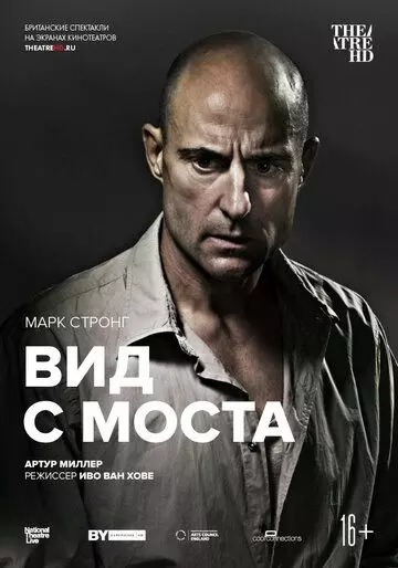 Вид с моста / National Theatre Live: A View from the Bridge 2015 скачать через торрент в хорошем качестве