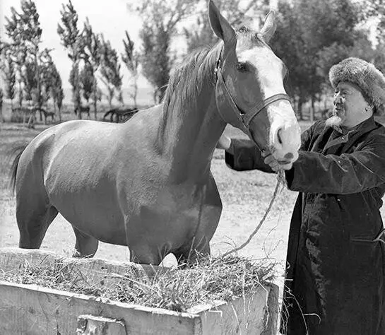 Моя ошибка 1957 скачать с торрента Моя ошибка 1957 скачать с торрента