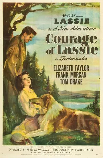Храбрость Лэсси / Courage of Lassie 1946 скачать через торрент в хорошем качестве