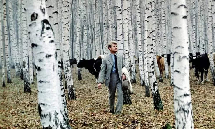 Пой песню, поэт... 1971 скачать с торрента Пой песню, поэт... 1971 скачать с торрента