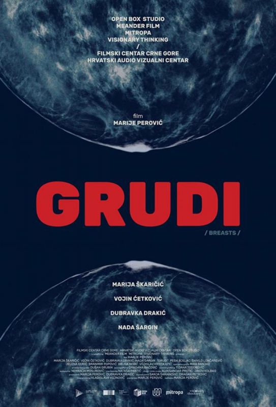 Grudi