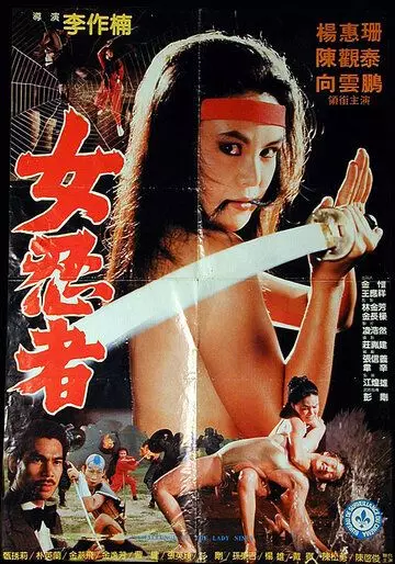 Задание леди-ниндзя / Lang nu shen long jian 1983 скачать через торрент в хорошем качестве
