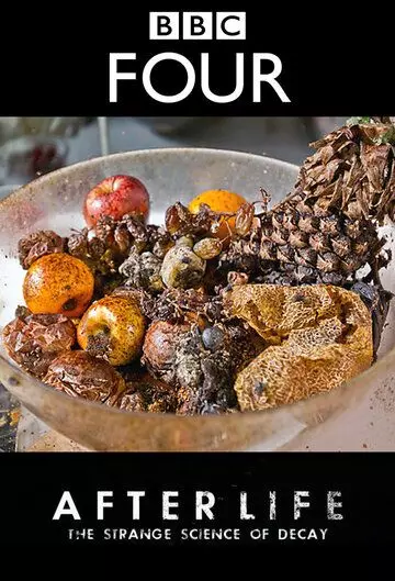 После смерти: Загадочная наука разложения / After Life: The Strange Science of Decay 2011 скачать через торрент в хорошем качестве