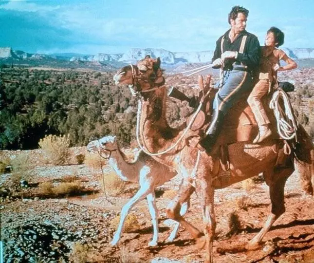 Один маленький индеец 1973 скачать торрентом Один маленький индеец 1973 скачать торрентом