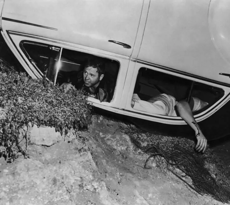 Поездка по кривой дороге 1954 скачать торрентом Поездка по кривой дороге 1954 скачать торрентом