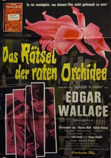 Тайна красной орхидеи / Das Rätsel der roten Orchidee 1962 скачать через торрент в хорошем качестве