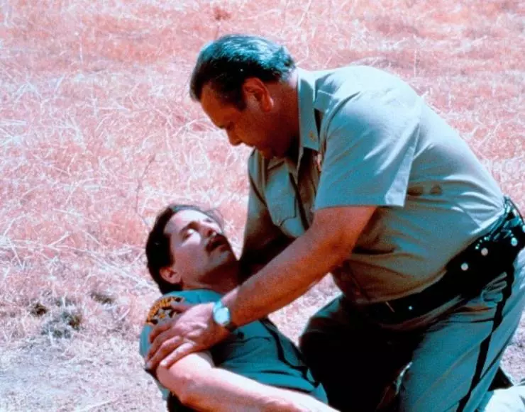 Американское совершенство 1997 скачать через торрент бесплатно Американское совершенство 1997 скачать через торрент бесплатно