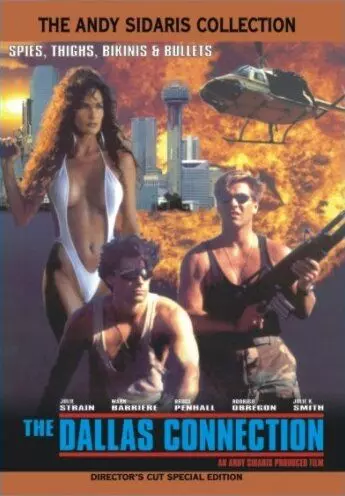 Проект Даллас / The Dallas Connection 1994 скачать через торрент в хорошем качестве