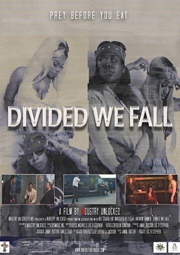 Divided We Fall