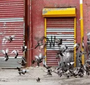 На запчасти 2007 скачать торрентом На запчасти 2007 скачать торрентом