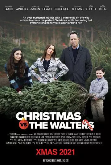 Рождество против Уолтерсов / Christmas vs. The Walters 2021 скачать через торрент в хорошем качестве