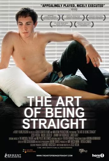 Искусство быть натуралом / The Art of Being Straight 2008 скачать через торрент в хорошем качестве