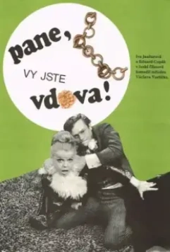 Пан, вы вдова / Pane, vy jste vdova! 1971 скачать через торрент в хорошем качестве