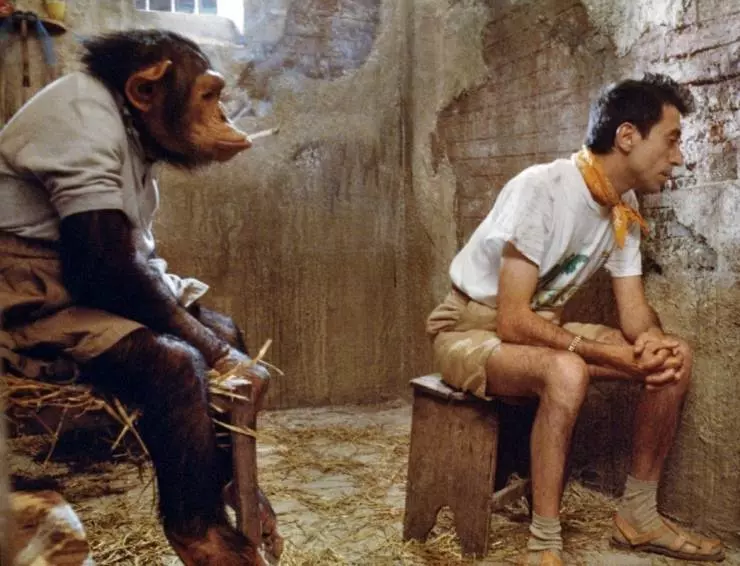 Месть пернатого змея 1984 скачать с торрента Месть пернатого змея 1984 скачать с торрента