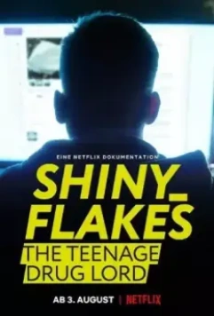 Shiny_Flakes: Молодой наркобарон / Shiny_Flakes: The Teenage Drug Lord 2021 скачать через торрент в хорошем качестве
