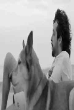 Собака не перестанет лаять 2021 скачать через торрент бесплатно Собака не перестанет лаять 2021 скачать через торрент бесплатно