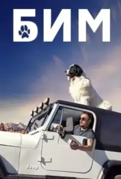 БИМ 2021 скачать через торрент в хорошем качестве