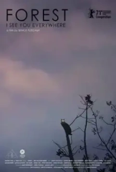 Лес: Вижу тебя повсюду / Rengeteg - Mindenhol látlak 2021 скачать через торрент в хорошем качестве