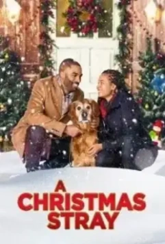 Рождественская дворняжка / A Christmas Stray 2021 скачать через торрент в хорошем качестве
