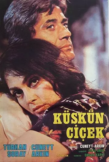 Обиженный цветок / Kuskun cicek 1979 скачать через торрент в хорошем качестве