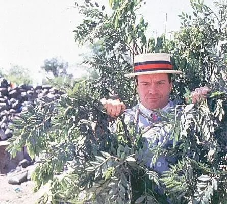 Семейка придурков 1996 скачать торрентом Семейка придурков 1996 скачать торрентом