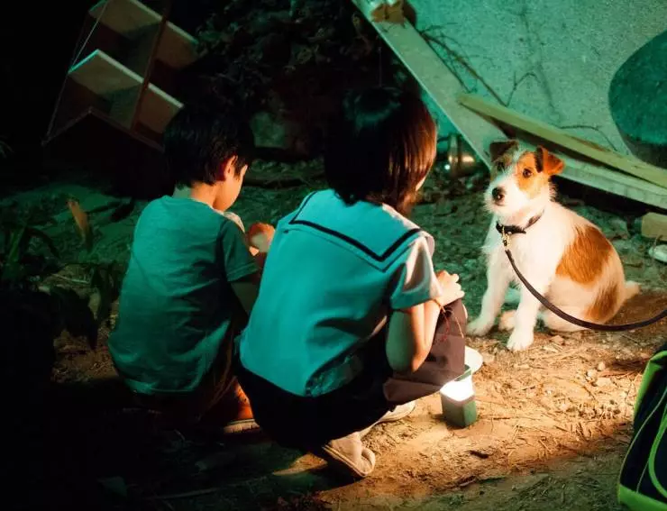 Как украсть собаку 2014 скачать с торрента Как украсть собаку 2014 скачать с торрента