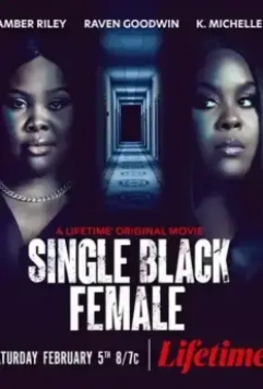 Одинокая темнокожая женщина / Single Black Female 2022 скачать через торрент в хорошем качестве